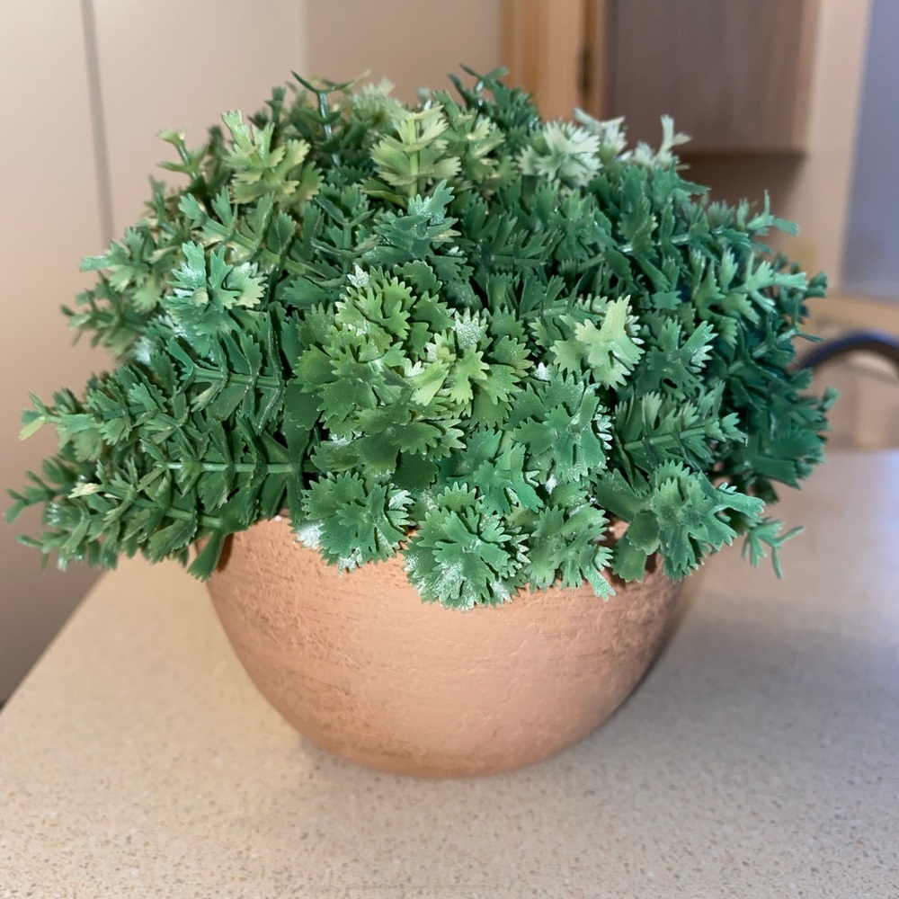 Small fake plant